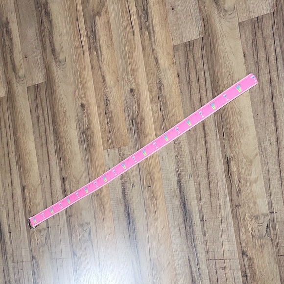 DOUGLAS PAQUETTE Pink Preppy Drinks Cocktails Belt - Picture 5 of 6